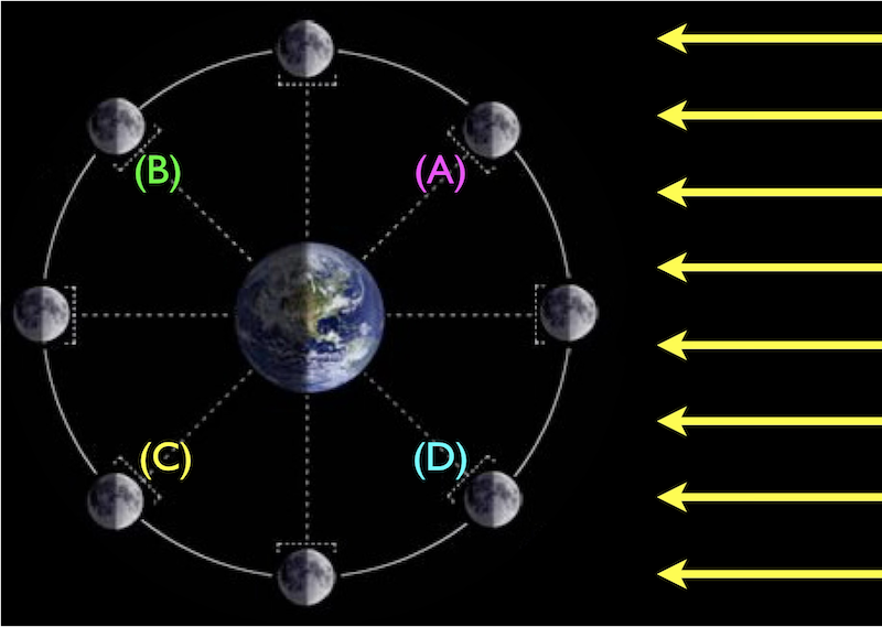 eight moon positions around the Earth, with sunlight coming from the right. From Earth, (A) diagonal upper right. (B) diagonal upper left. (C) is diagonal lower left. (D) is diagonal lower right.