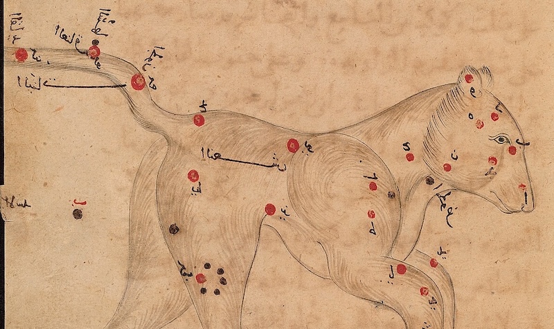 A drawing of a bear with stars marked as red and black dots and labeled in Arabic.