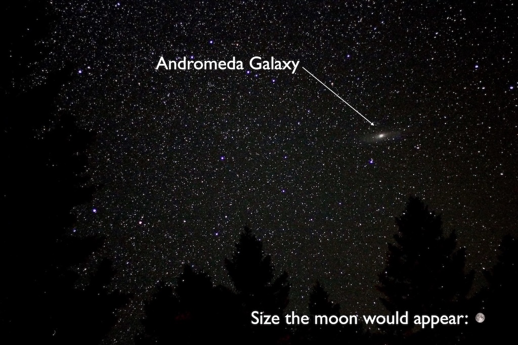 A photograph showing stars above the sillhouettes of trees, with Andromeda a smudgy streak among the stars.