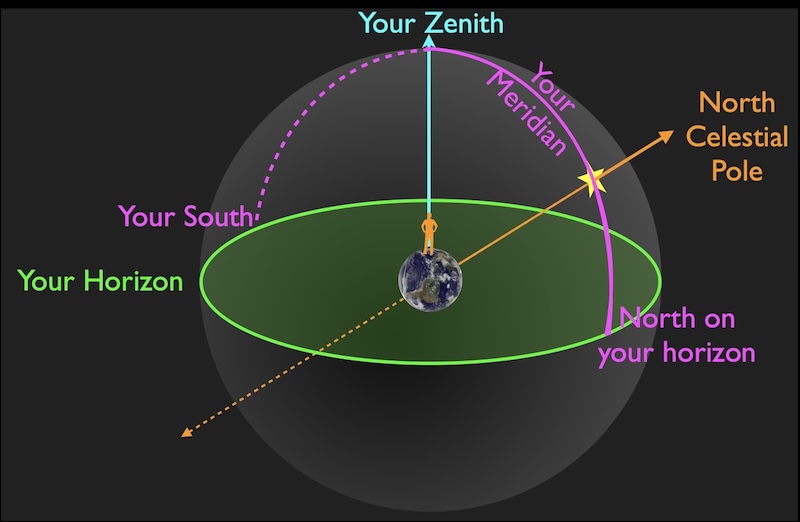 Your meridian connects North on your horizon, the North Celestial pole, the Zenith, and ends on your South.