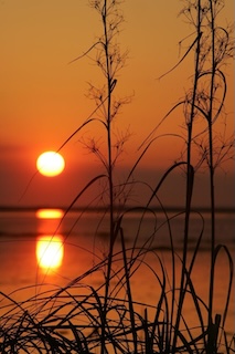 A photograph of the evening sun, reflected in the water.