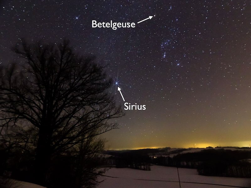 An image of the night sky, showing the constellation Orion above the horizon and the bright star Sirius to the lower left of it