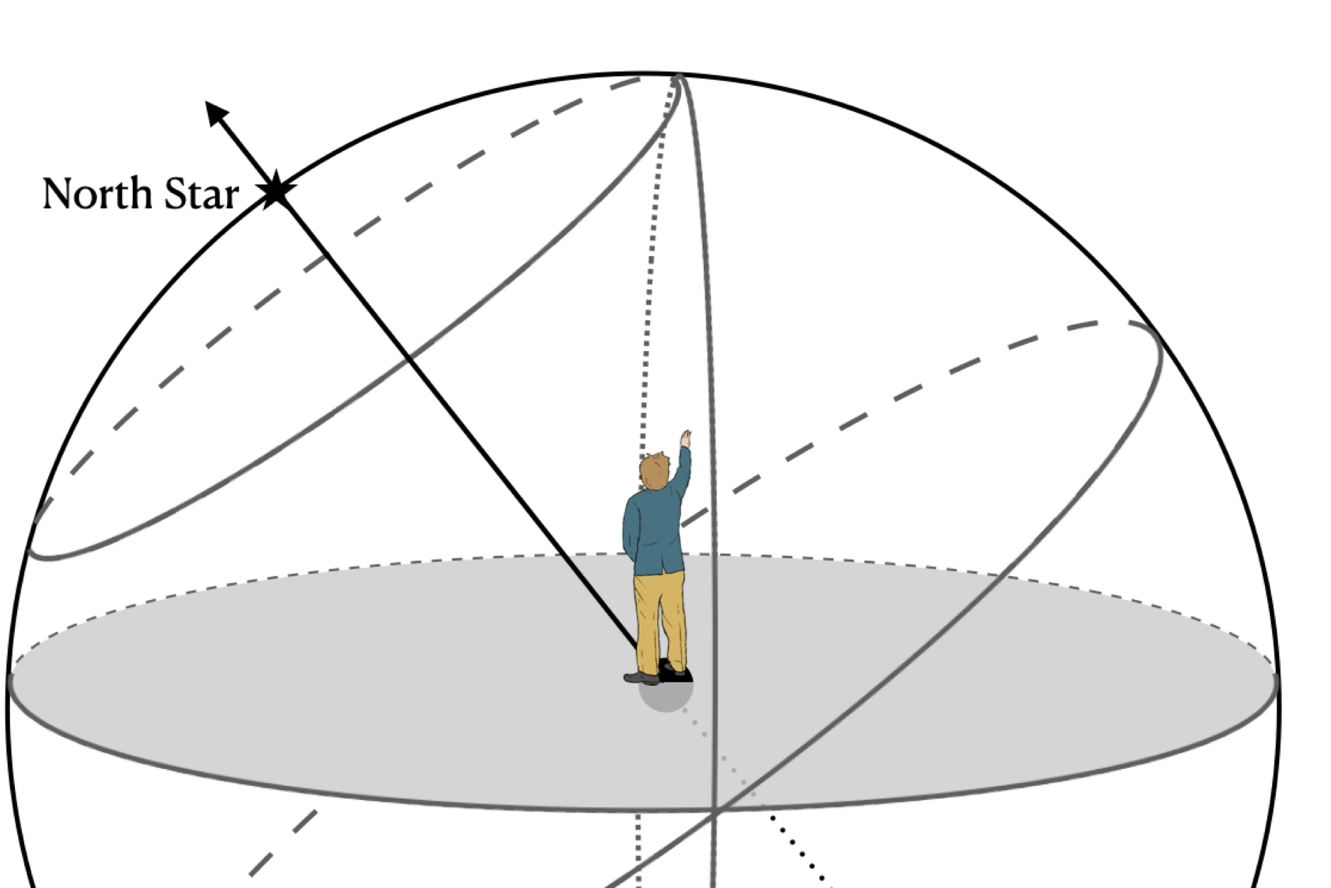 The dome of a local sky with Polaris on the left edge. An observer faces the back of the dome.